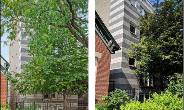 Apartment building for sale in Lincoln Park in Chicago