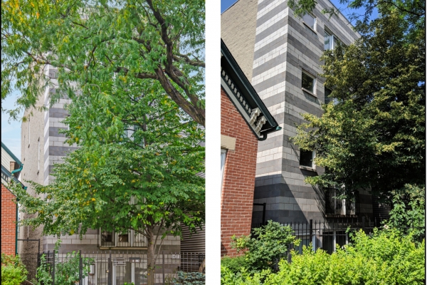 Two flat with duplex units in Lincoln Park